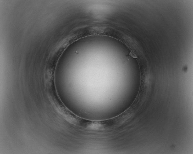 X0000116810759200912181344