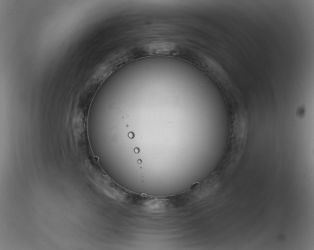 X0000116810761200912181344