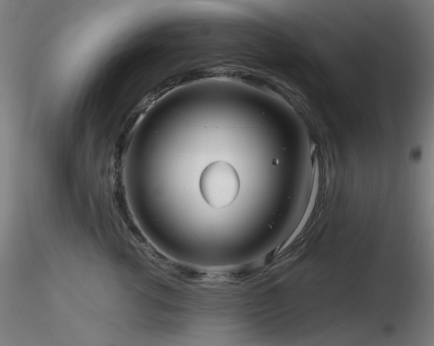 X0000116810762200912181344