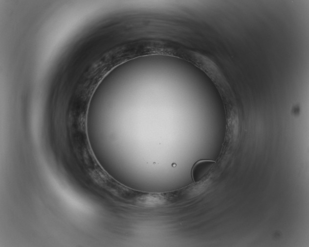 X0000116810765200912181344