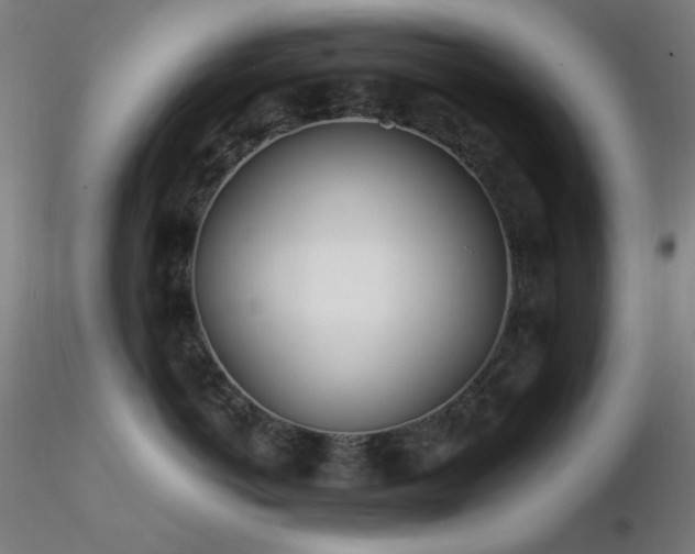 X0000116810766200912181344