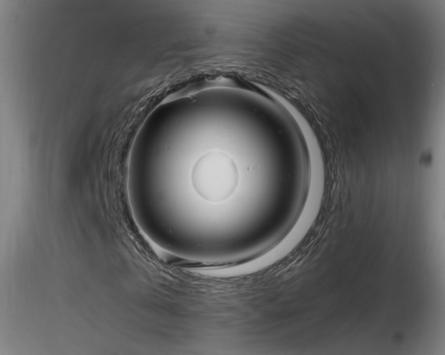 X0000116810769200912181344