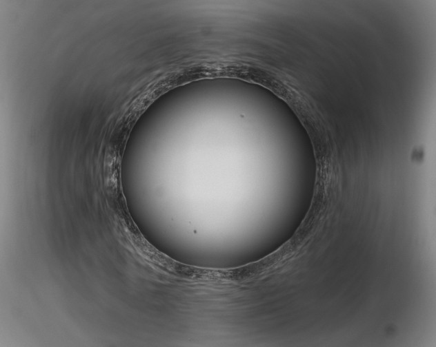 X0000116810770200912181344