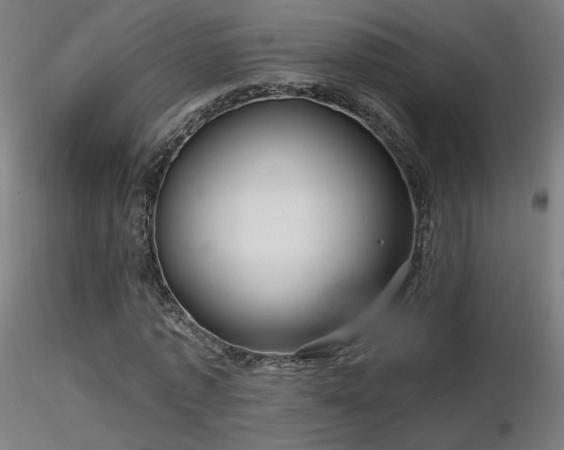 X0000116810773200912181344