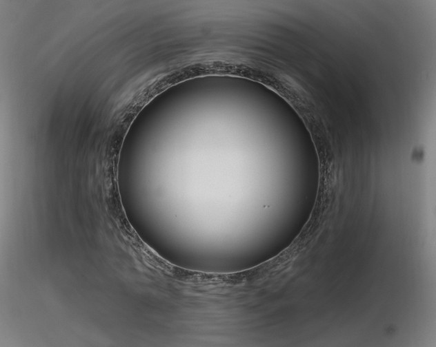 X0000116810774200912181344