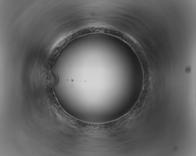 X0000116810775200912181344