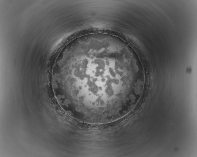 X0000116810776200912181344