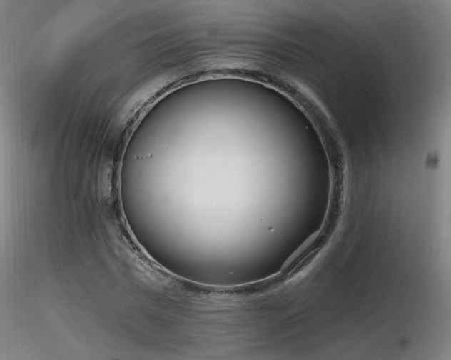 X0000116810777200912181344