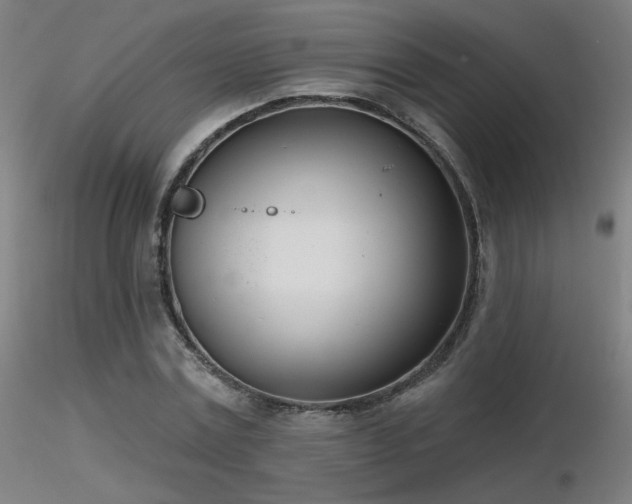 X0000116810779200912181343