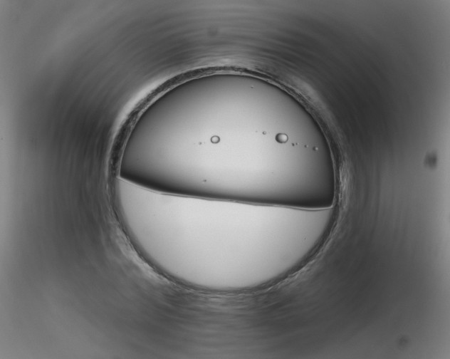 X0000116810780200912181343