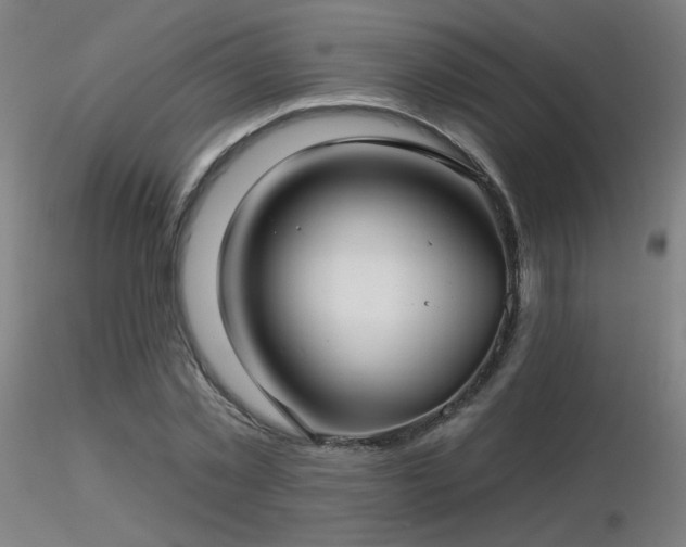 X0000116810781200912181343
