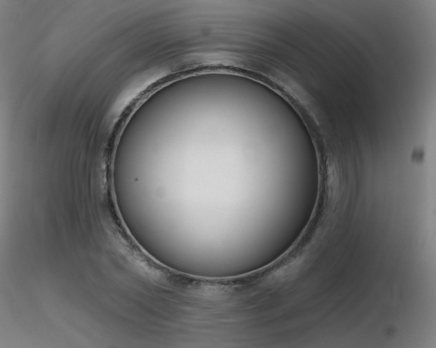 X0000116810782200912181343