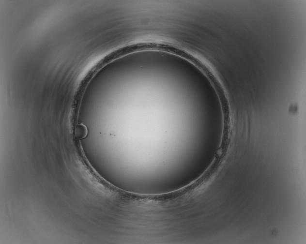 X0000116810783200912181343