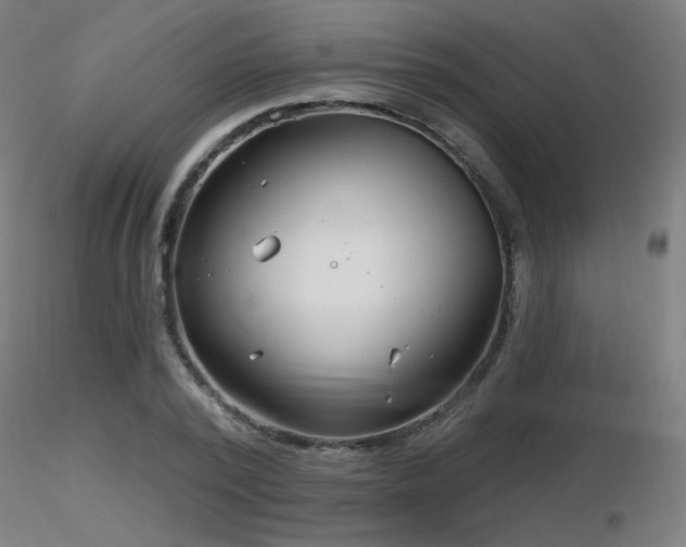 X0000116810784200912181343
