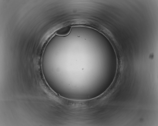 X0000116810786200912181343