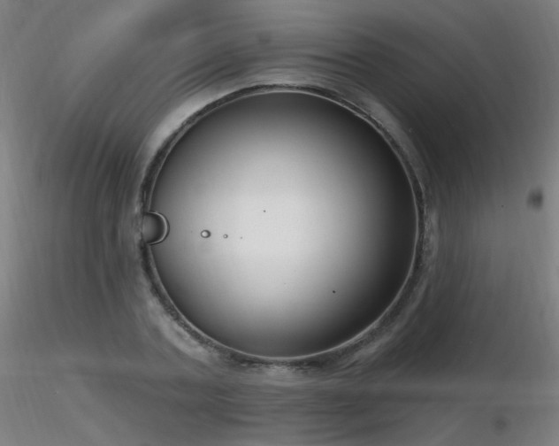 X0000116810787200912181343