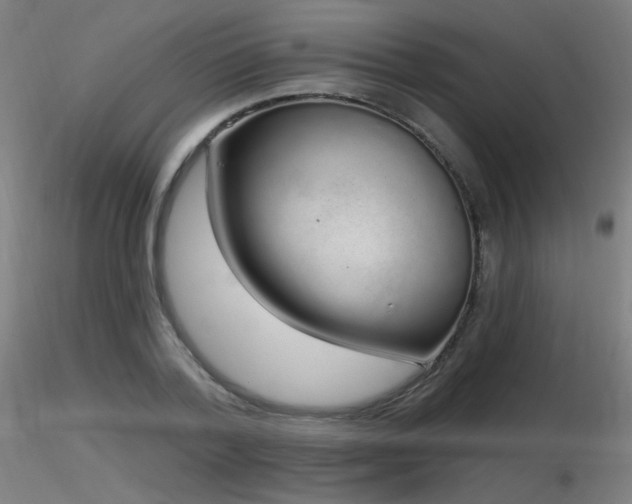 X0000116810788200912181343