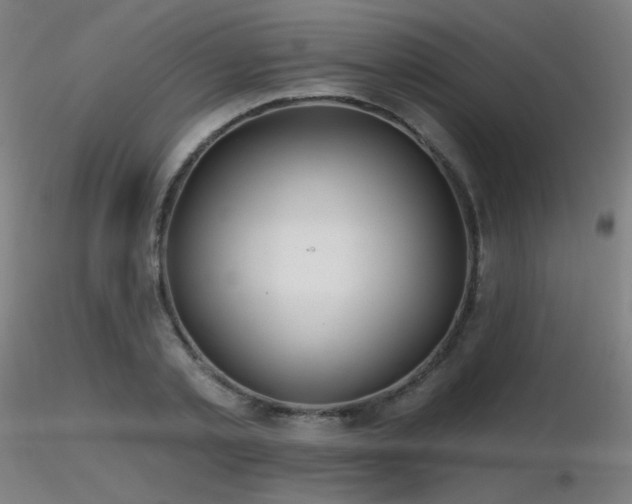 X0000116810789200912181343
