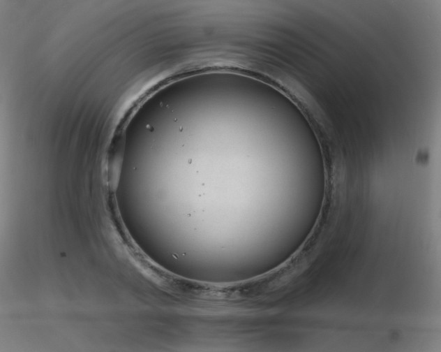 X0000116810790200912181343