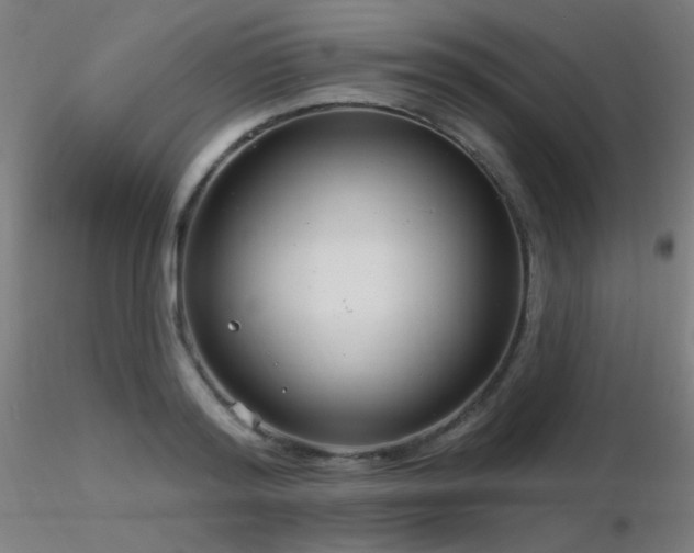 X0000116810796200912181343