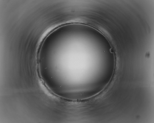 X0000116810800200912181343