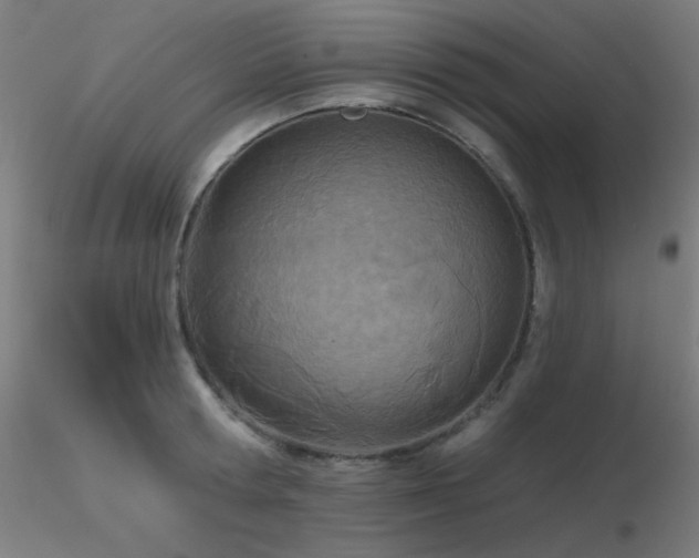 X0000116810802200912181343