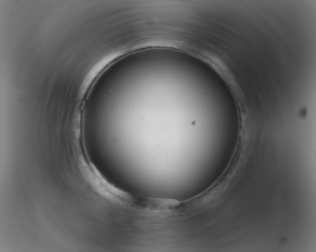 X0000116810804200912181343