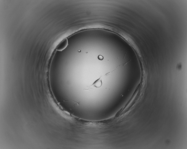 X0000116810805200912181343