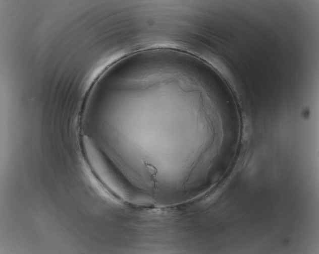 X0000116810806200912181343