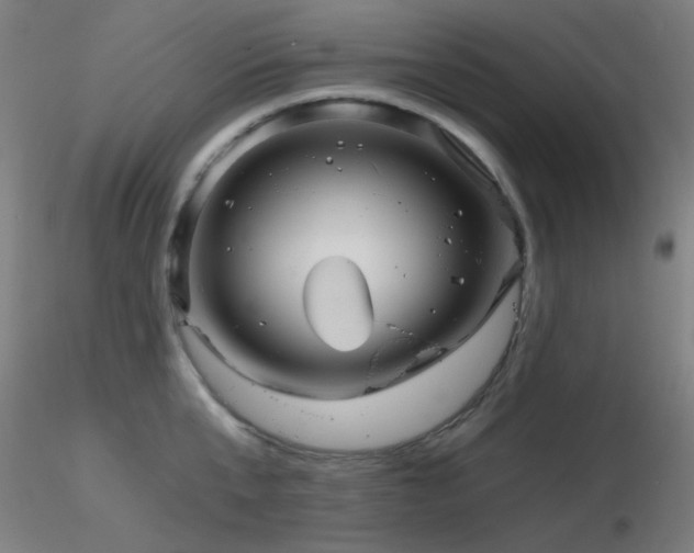 X0000116810807200912181343
