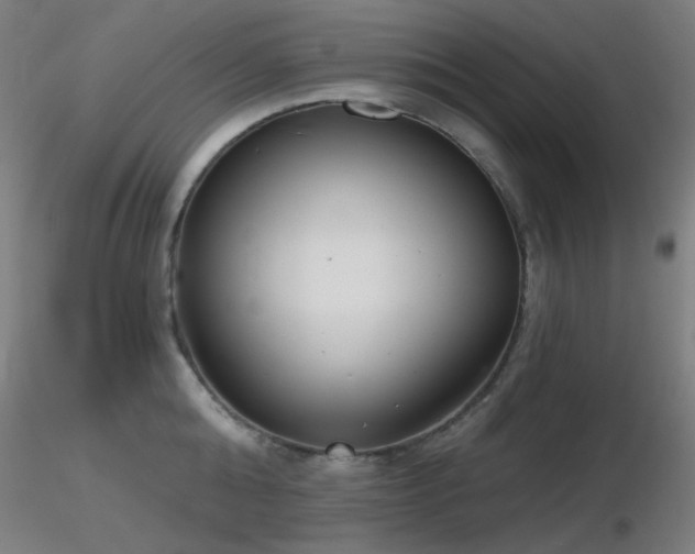 X0000116810808200912181343