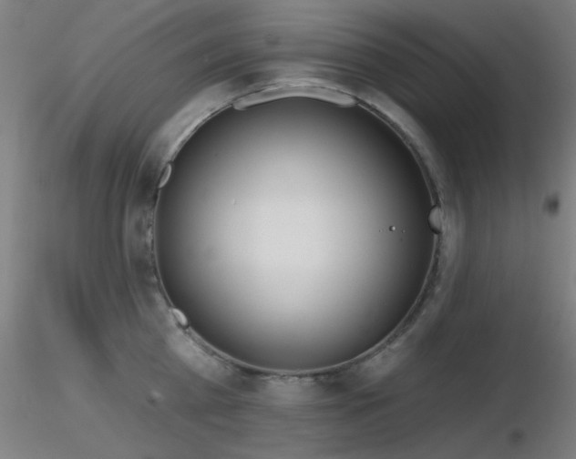 X0000116810809200912181343