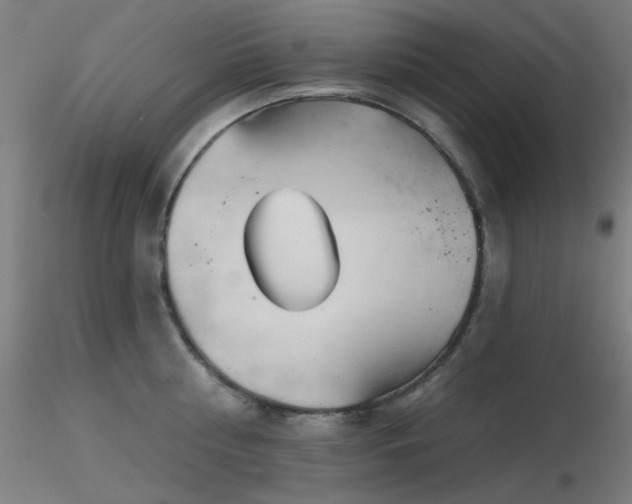 X0000116810810200912181343