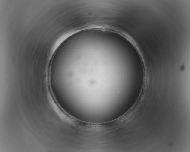 X0000116810811200912181343