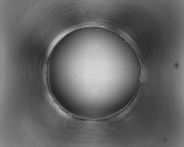 X0000116810812200912181343