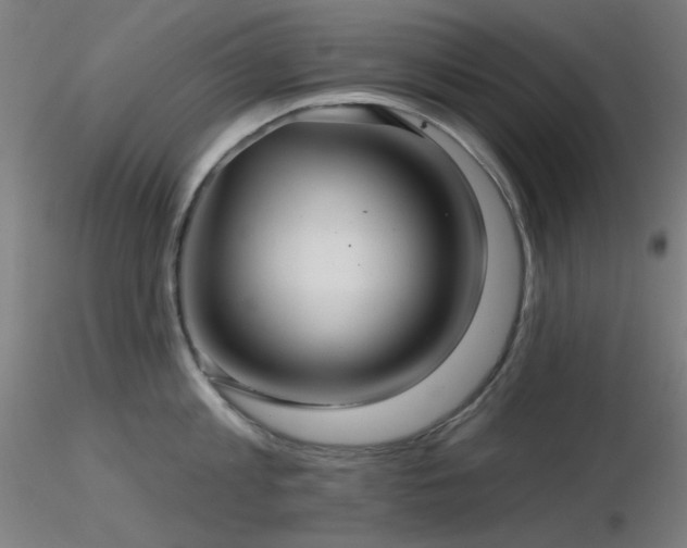 X0000116810813200912181343