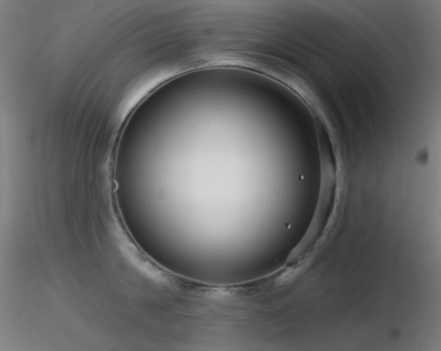 X0000116810814200912181343