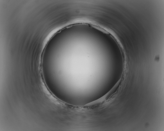 X0000116810815200912181343