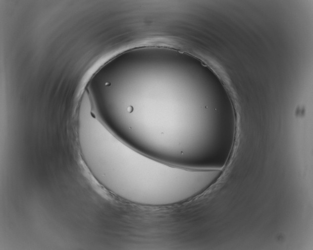 X0000116810816200912181343
