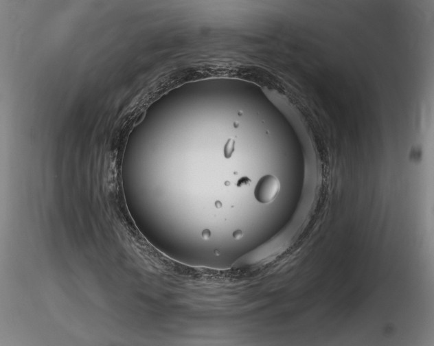 X0000116810818200912181342