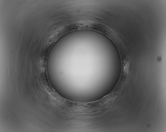 X0000116810819200912181342