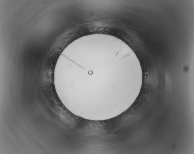 X0000116810820200912181342
