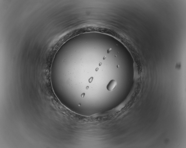 X0000116810822200912181342