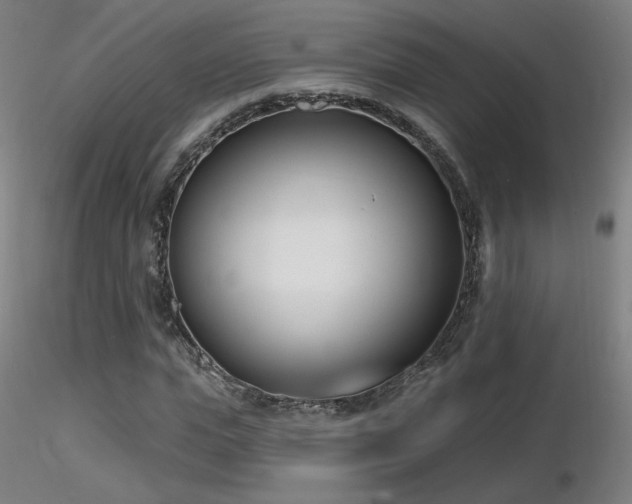 X0000116810823200912181342
