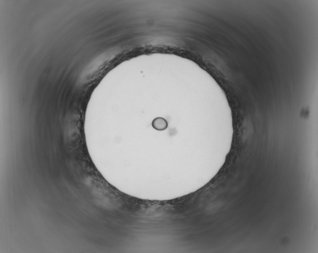 X0000116810824200912181342