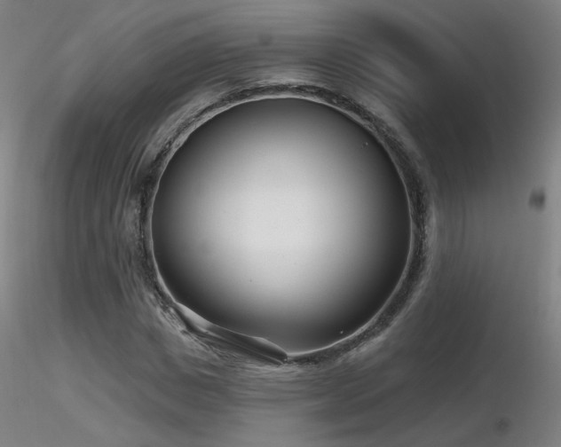 X0000116810825200912181342