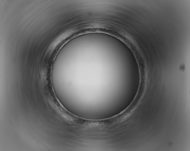 X0000116810826200912181342