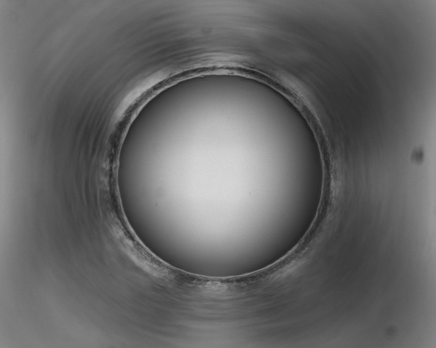 X0000116810827200912181342