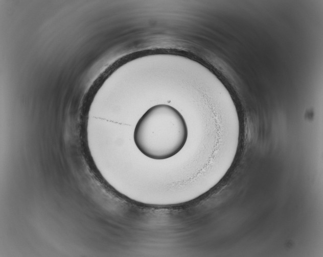 X0000116810828200912181342