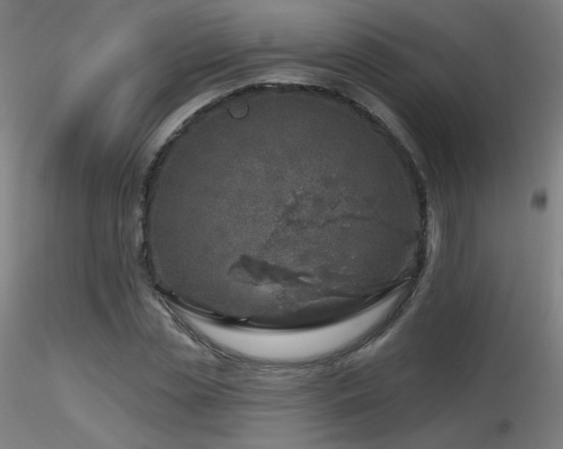 X0000116810829200912181342